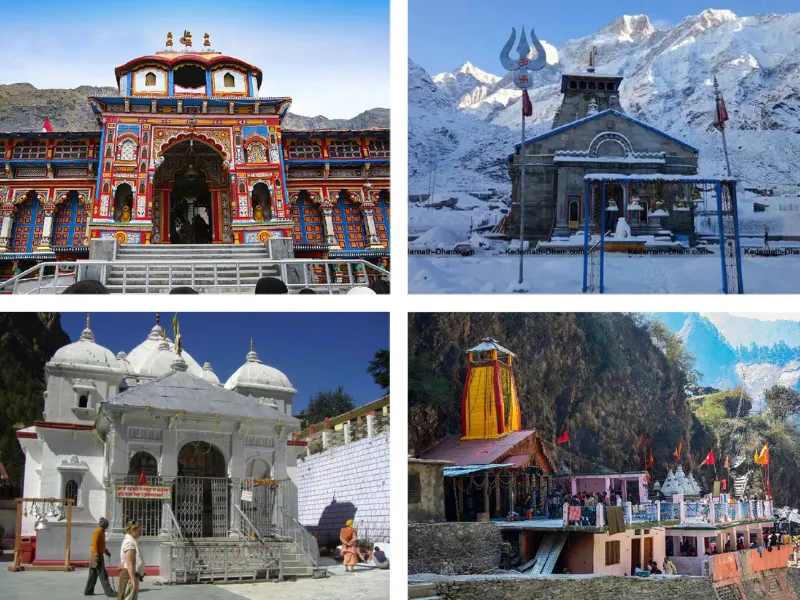 two auto rickshaw on the street